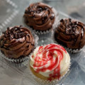 The Ultimate Guide to the Best Cupcakes in Southeast SC